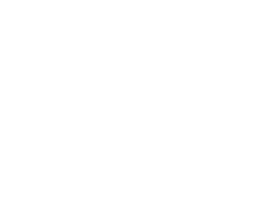 form-icon